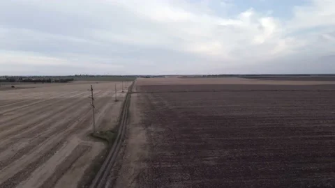 Fields with Sunflowers at Dusk 库存影片 136045253