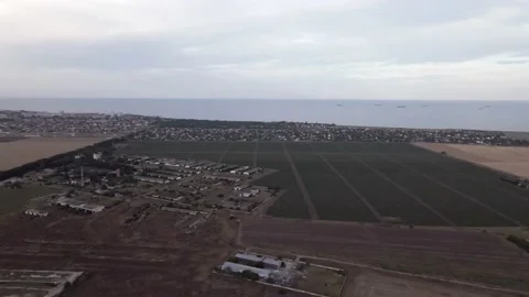 Fields with Sunflowers at Dusk Stock Footage 136045295