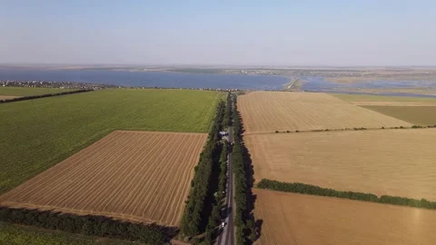 Fields with Sunflowers. Harvesting. Видео 135055830