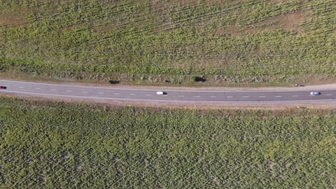 Fields with Sunflowers. Harvesting. Stock Footage 135056204