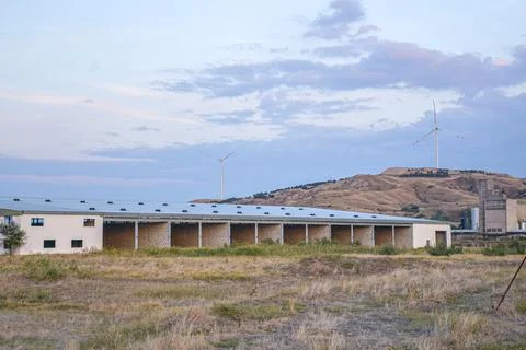 Fields in sunset factory and wind turbine in background Stock Photos