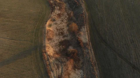 Fields at sunset Vidéo 89215161