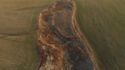 Fields at sunset Vidéo 89215166