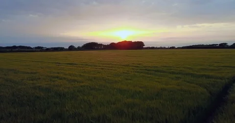 Fields At Sunset On Isle Of Man Drone Shot Stock Footage 94389066