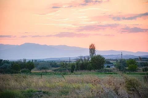 Fields  in Sunset Stock Photos