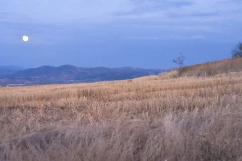Fields  in sunset Stock Photos