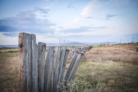 Fields  in sunset Stock Photos