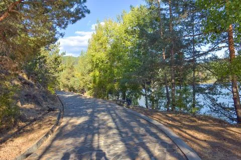 Fields  in sunset Stock Photos