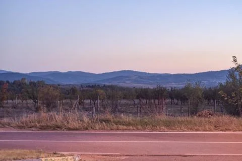 Fields  in sunset Stock Photos
