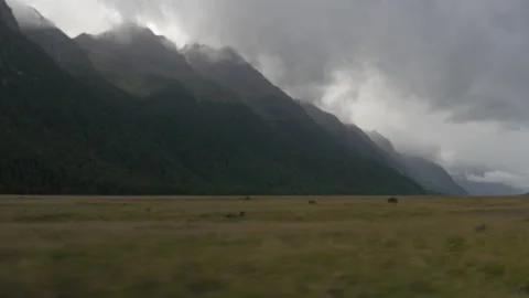 Fields surrounded by mountains with a cloudy sky, in Milford Sound, New Zealand Stock Footage 219241816