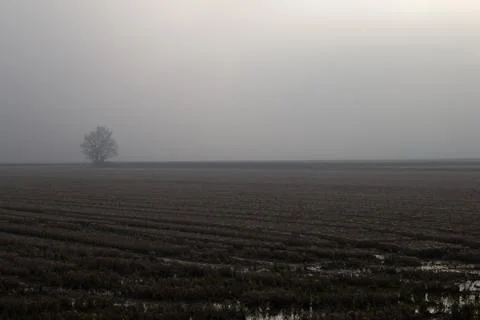 Fields taken from below in the autumn Stock Photos