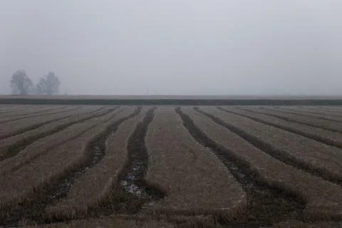 Fields taken from below in the autumn Stock Photos