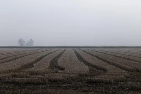 Fields taken from below in the autumn Stock Photos