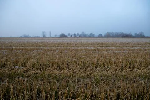 Fields taken from below in the autumn Stock Photos