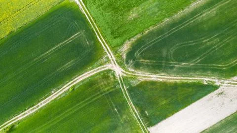 Fields top-down view from the drone Foto stock