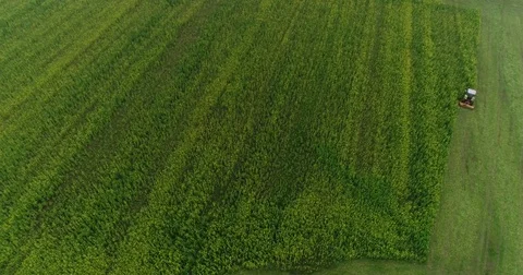 Fields with a tractor Stock Footage 83065053