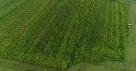 Fields with a tractor Stock Footage 83065201