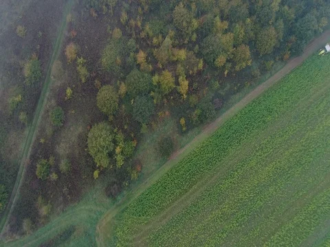Fields with a tractor, forest Stock Footage 83063653