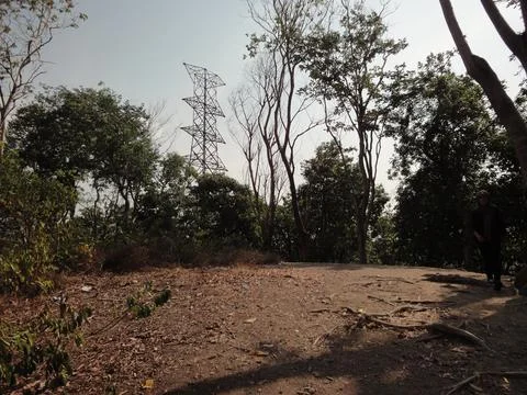 Fields, trees, and high voltage electricity tower Stock Photos