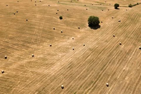 Fields of tuscany Stock Photos