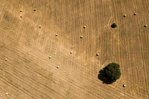 Fields of tuscany Stock Photos