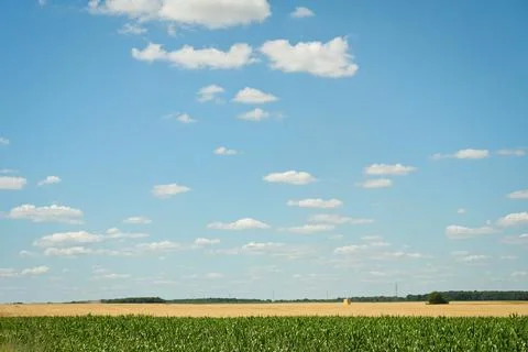 Fields under a large blue sky with small clouds Stock Photos