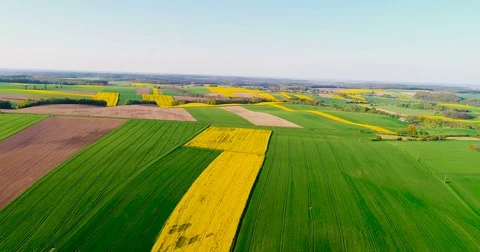 Fields with various types of agriculture 4K Stock Footage 77056267