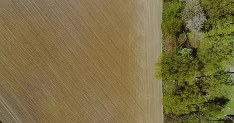 Fields with various types of agriculture 4K Stock Footage 89039995