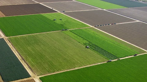 Fields with various types of agriculture, aerial shot Stock-Footage 62283578