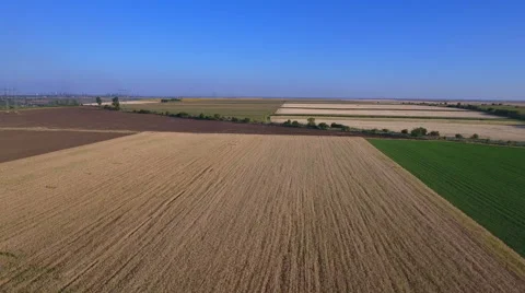 Fields with various types of agriculture, aerial shot Stock-Footage 65622637
