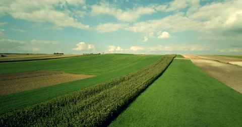 Fields with various types of agriculture, aerial shot Stock Footage 66671649