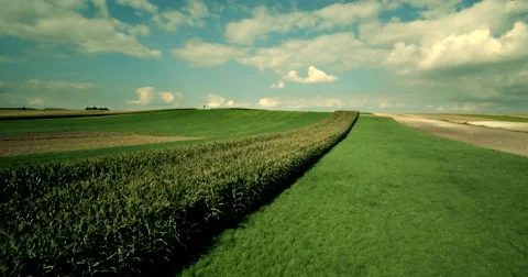 Fields with various types of agriculture, aerial shot Stock Footage 66672093