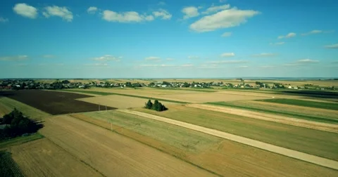 Fields with various types of agriculture, aerial shot Stock Footage 66672242