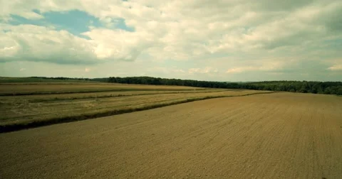 Fields with various types of agriculture, aerial shot Stock Footage 66672844