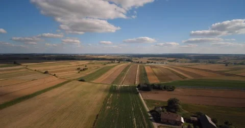 Fields with various types of agriculture, aerial shot Stock Footage 66672846