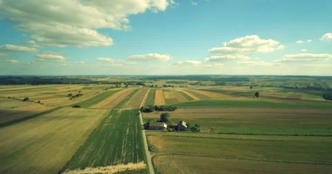Fields with various types of agriculture, aerial shot Stock Footage 66673089