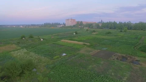 Fields with various types of agriculture, aerial shot Stock Footage 77523711