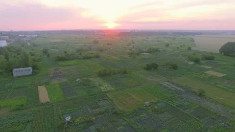 Fields with various types of agriculture, aerial shot Stock Footage 77523983