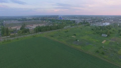Fields with various types of agriculture, aerial shot Stock Footage 77524283