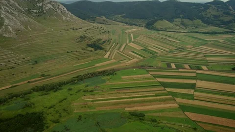 Fields with various types of agriculture, aerial shot Stock Footage 79208295
