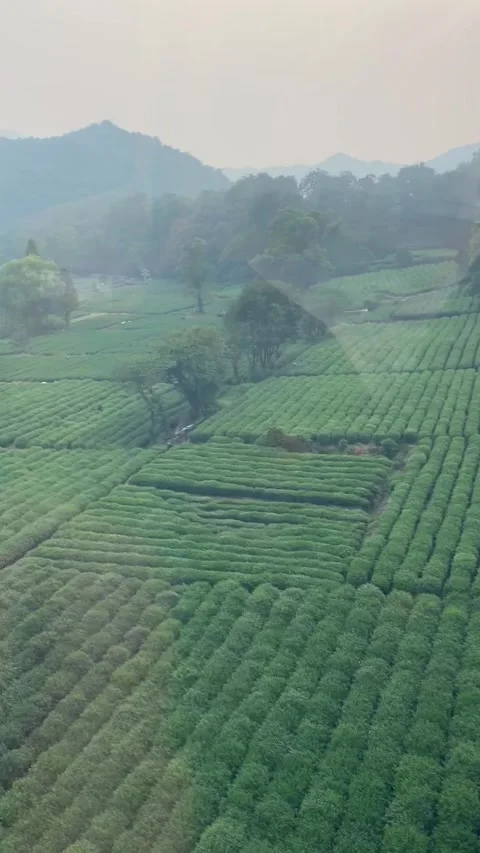 Fields view from a cablecar in Hangzhou Stock-Footage 341362002