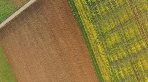 Fields viewed from above Vidéo 55379388