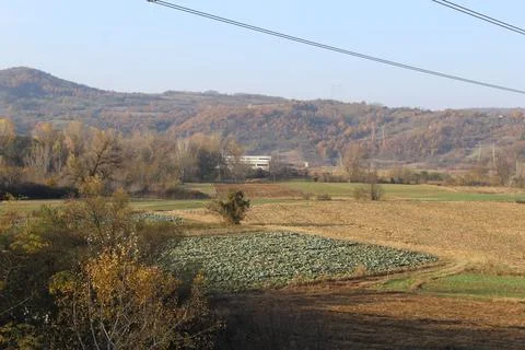 Fields in the village Stock-Fotos