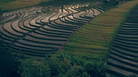 Fields with water aerial shot Stock Footage 278771415