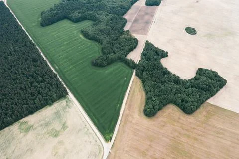 Fields with wheat and corn which are delimited by the road going to the city Stock Photos