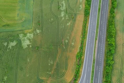 Fields. Wheat fields near the road. Wheat lies from the weather. Traces of a  Stock Photos