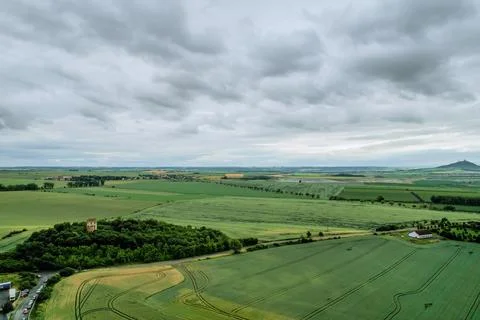 Fields. Wheat fields near the road. Traces of a tractor in a field. Top view. Stock Photos
