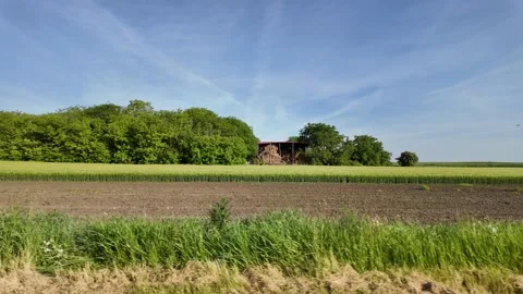 Fields of wheat in green rural landscapes. Stock Footage 317640237