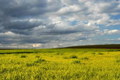 Fields Of Wind 스톡 사진