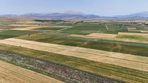 Fields winding road Foto stock